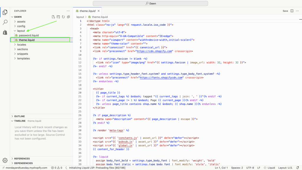 A screenshot shows the path to theme.liquid file on shopify admin.